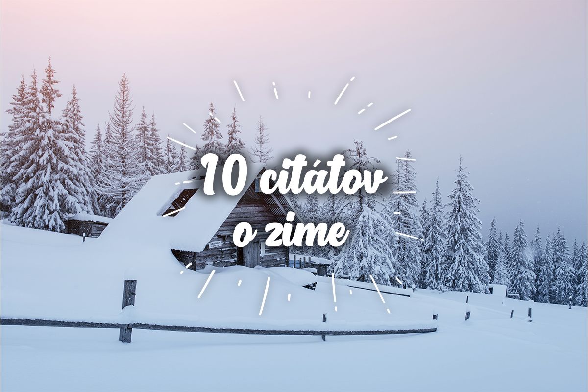 Citáty o zimr
